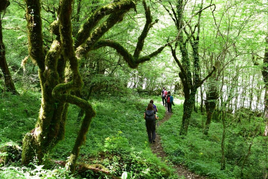 Zagori: Vikos Gorge full-day guided hike - Key points at a glance