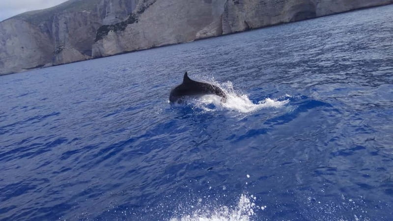 Zakynthos: Shipwreck Beach, Viewpoint, Blue Caves Day Tour - White Beach gives you proper water time