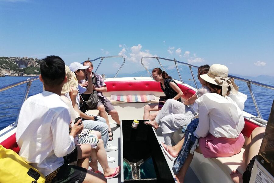 Zakynthos Small Group Tour Shipwreck & Blue Caves Land & Sea - Therianos Family Farm and Zakynthos on the table